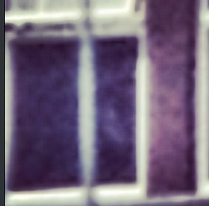 Could this be the image of one of the three spirits reputed to haunt the former Qualicum Heritage Inn on Vancouver Island?  (Mark Campbell photo)